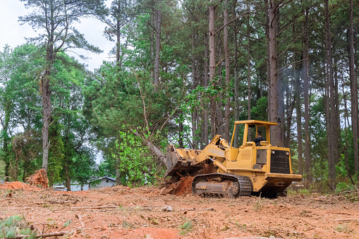 brush and land clearing
