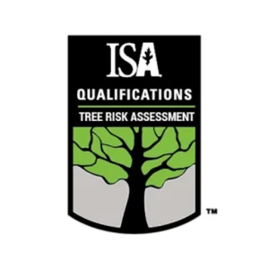 ISA Qualifications Logo