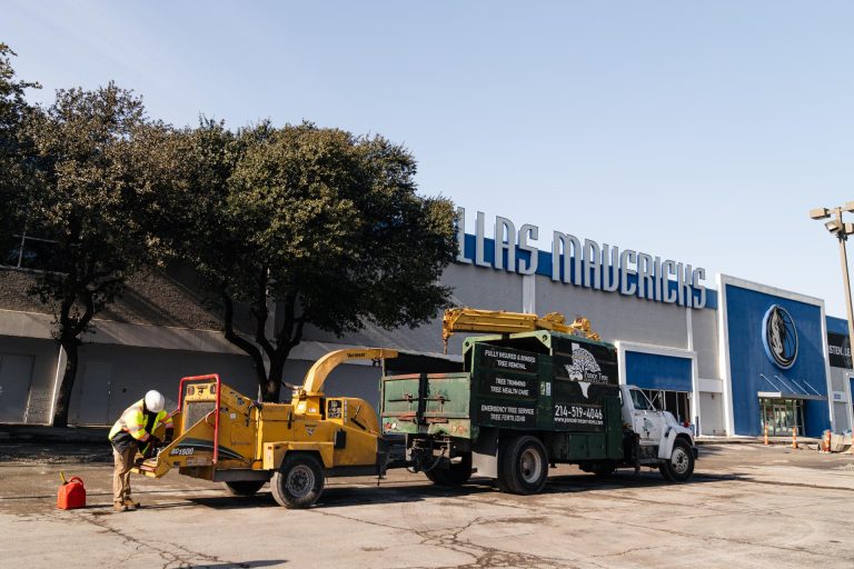 commercial-tree-services-for-dallas-mavericks