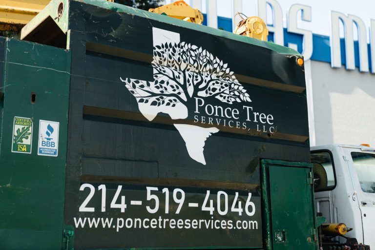 ponce-tree-removal-dallas-fort-worth-tx-1