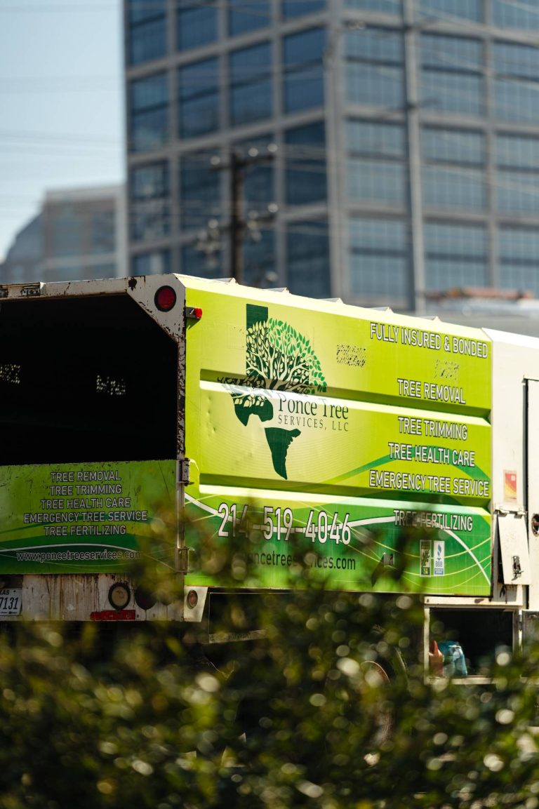 ponce-tree-removal-dallas-fort-worth-tx-36