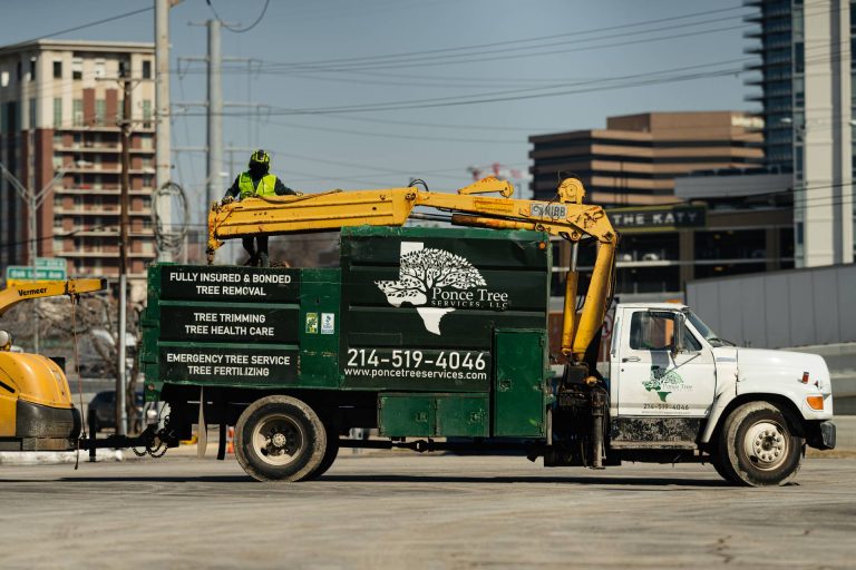 ponce-tree-removal-dallas-fort-worth-tx-43