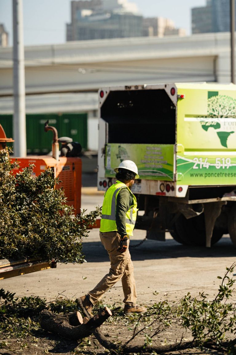 ponce-tree-removal-dallas-fort-worth-tx-57