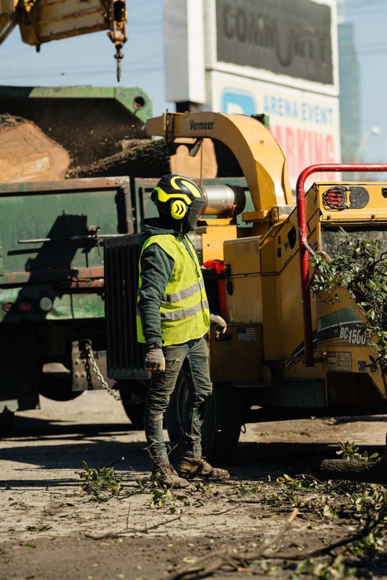 ponce-tree-removal-dallas-fort-worth-tx-64