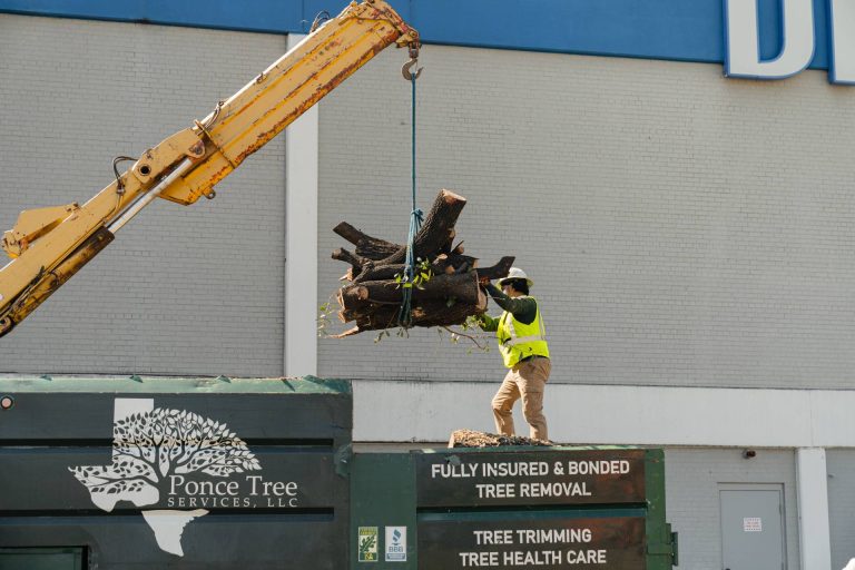 ponce-tree-removal-dallas-fort-worth-tx-71