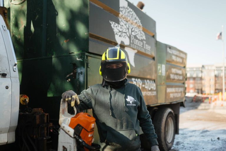 ponce-tree-removal-dallas-fort-worth-tx-78