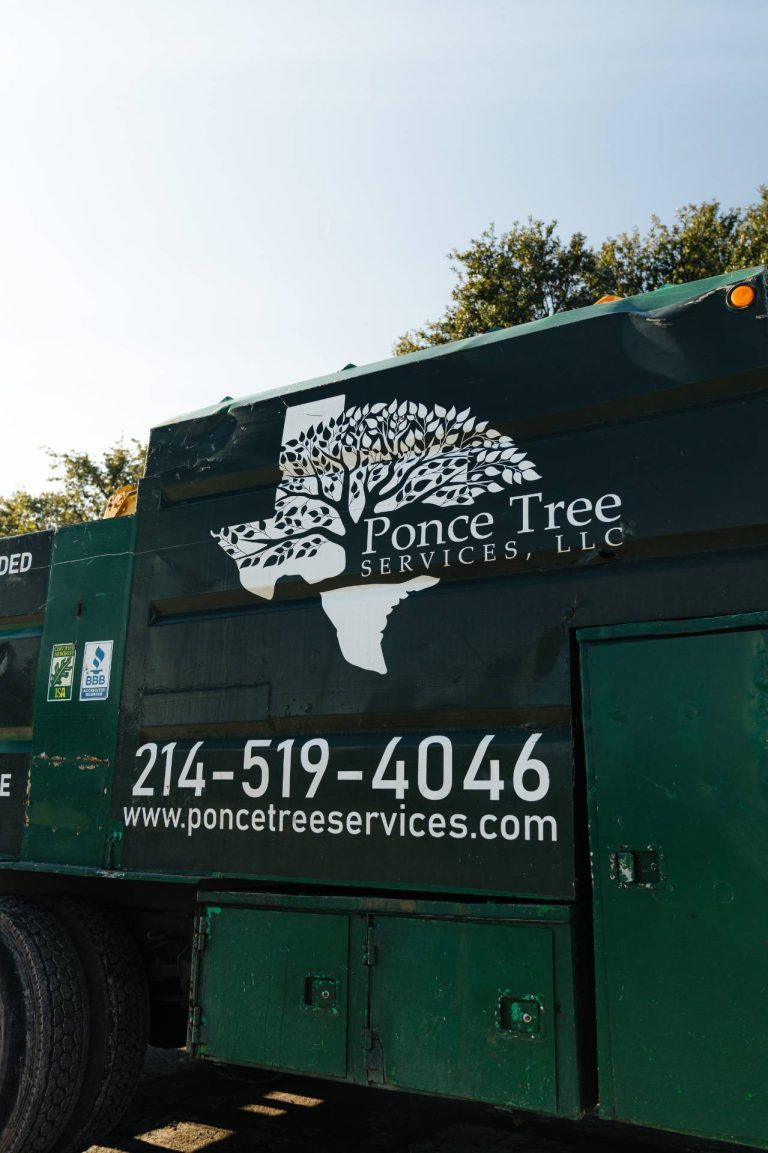ponce-tree-trimming-dallas-fort-worth-tx-2