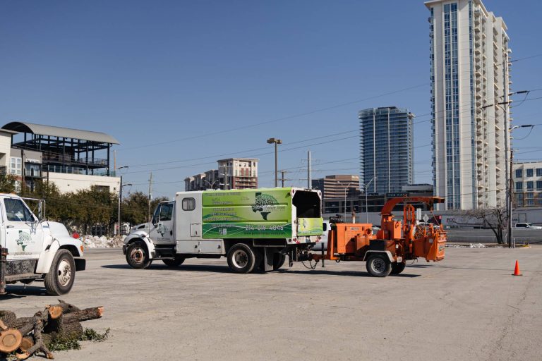ponce-tree-trimming-dallas-fort-worth-tx-23
