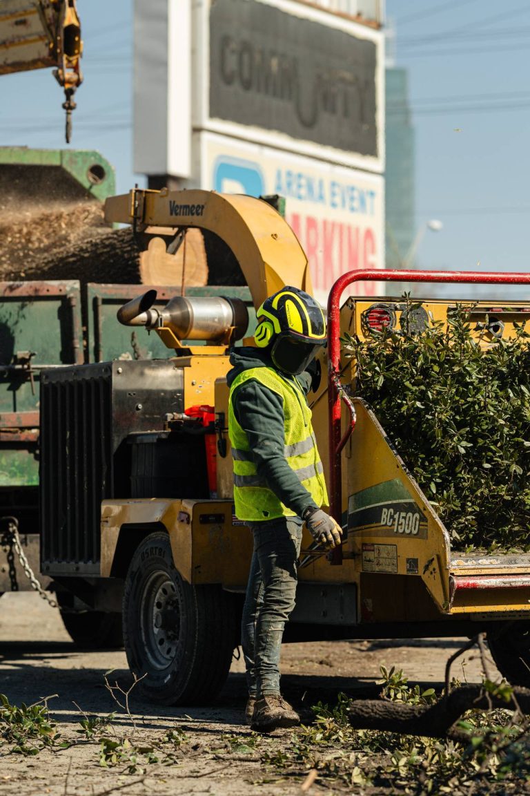 ponce-tree-trimming-dallas-fort-worth-tx-65