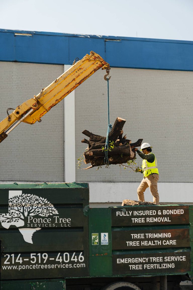 ponce-tree-trimming-dallas-fort-worth-tx-72
