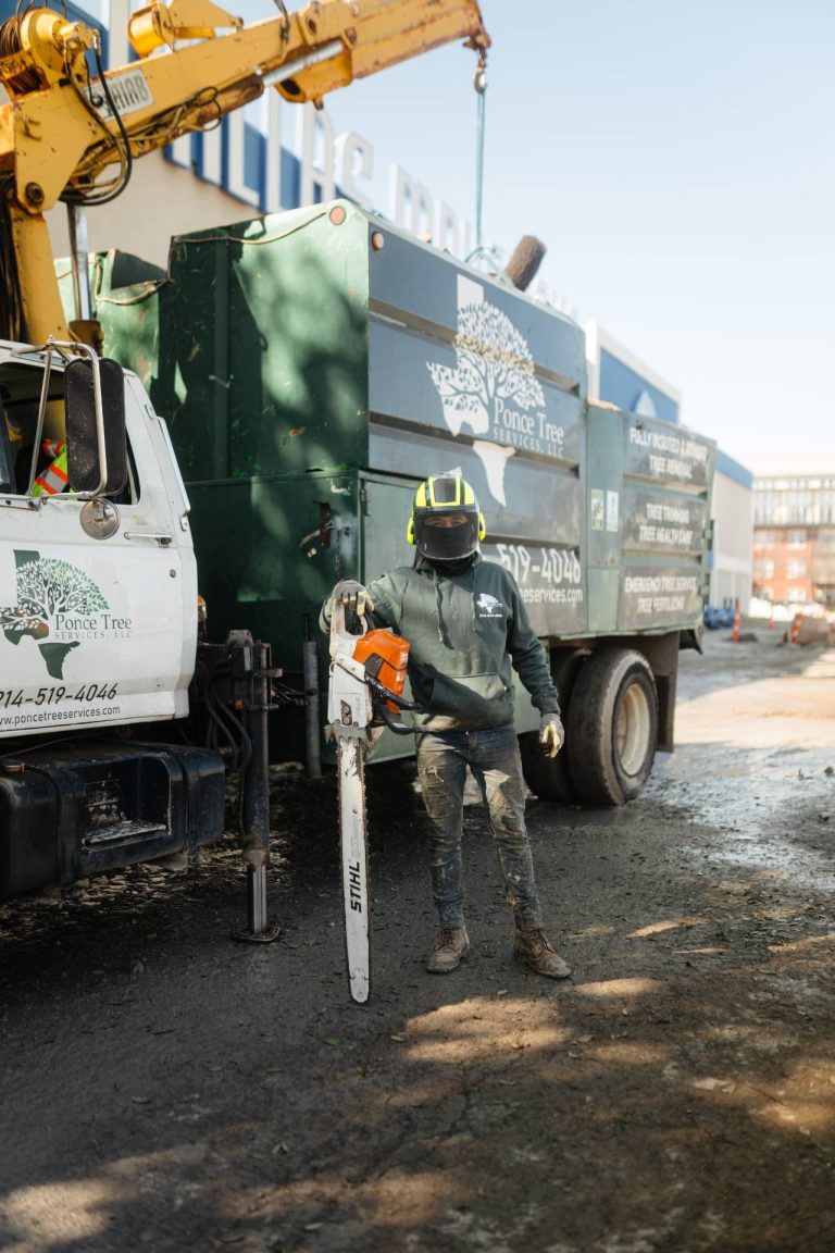 ponce-tree-trimming-dallas-fort-worth-tx-79