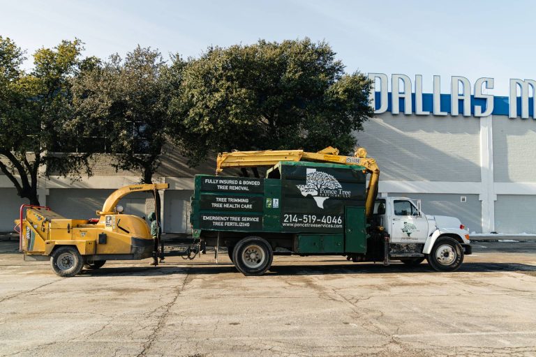 ponce-tree-trimming-dallas-fort-worth-tx-86