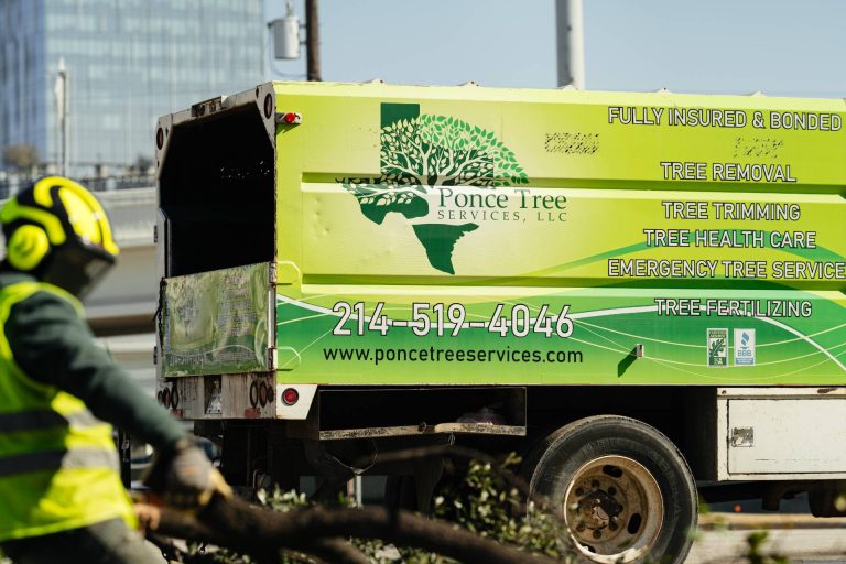 residential-tree-removal-Dallas-Fort-Worth