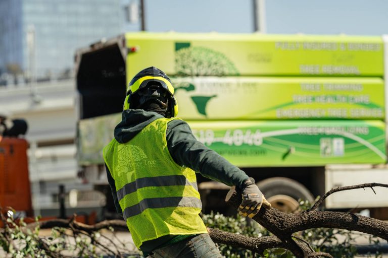 residential tree services in Dallas, TX