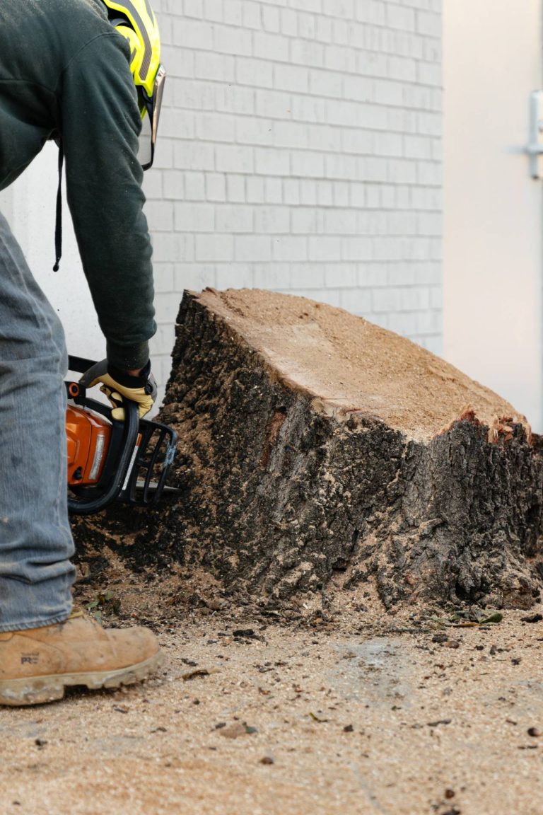 commercial-stump-removal-DFW