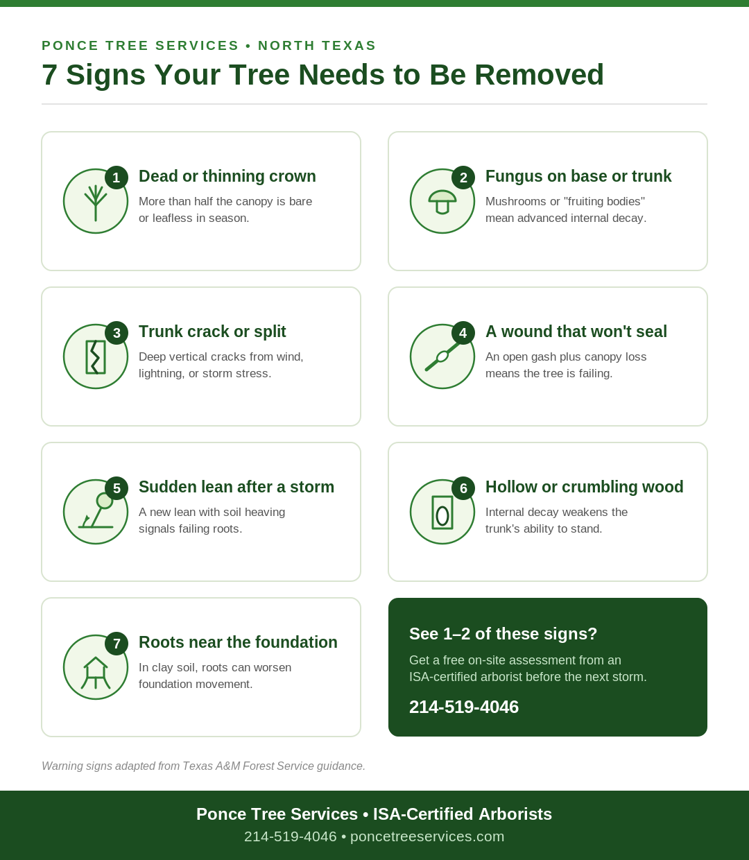 Infographic showing 7 warning signs a tree needs to be removed, from an ISA-certified North Texas arborist.